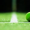 pro penn tennis balls review