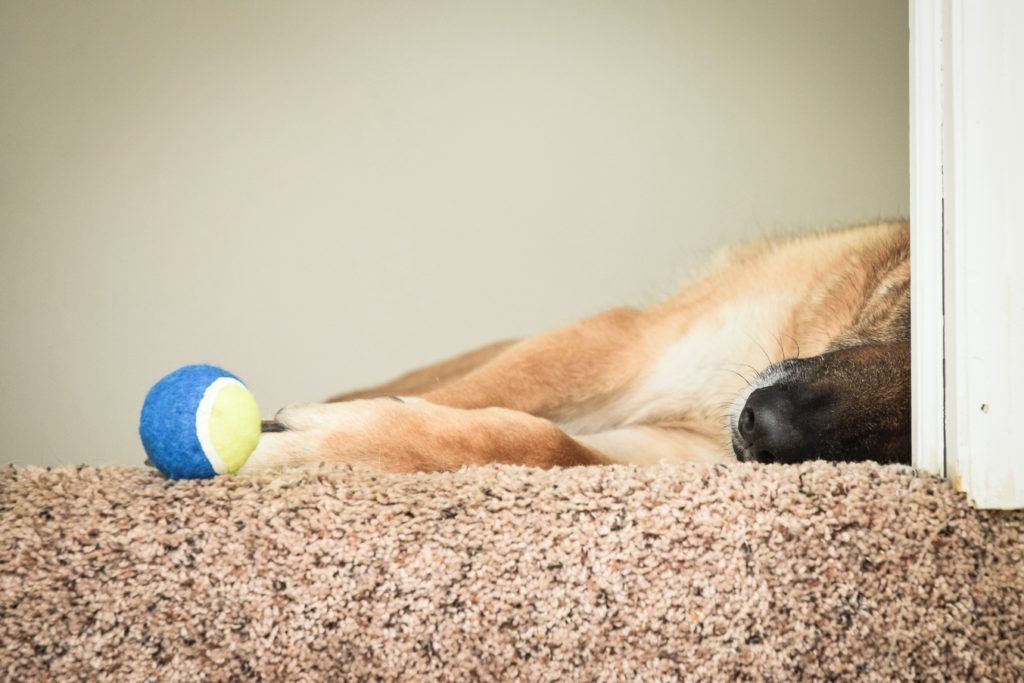 Best tennis ball