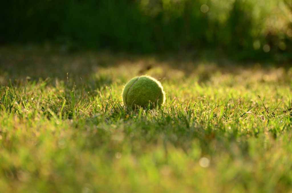 Best tennis balls