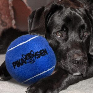 PIKASEN Dog Squeaky Tennis Balls