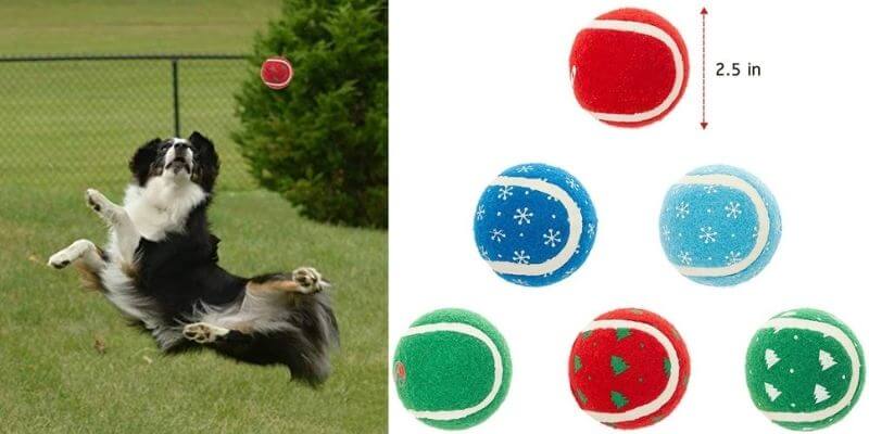 BINGPET Squeky Tennis Ball for Dogs