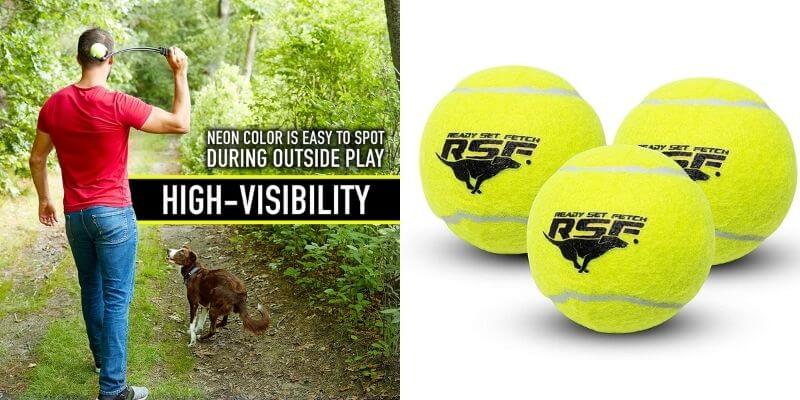 Franklin Pet Supply Ready Set Fetch Squeak Tennis Balls