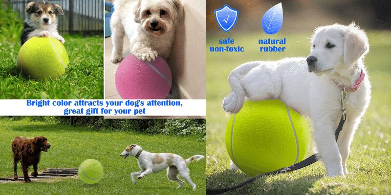 best tennis balls for dogs