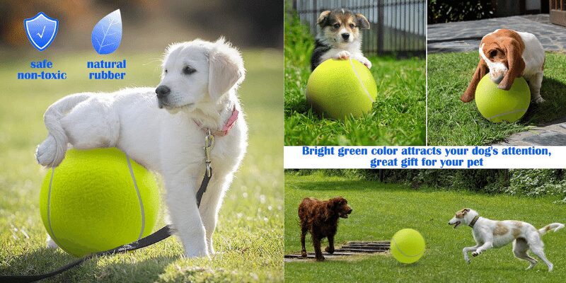 dog tennis balls bulk