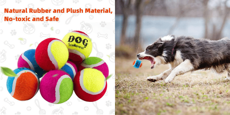 Squeaky Tennis Balls for Dog