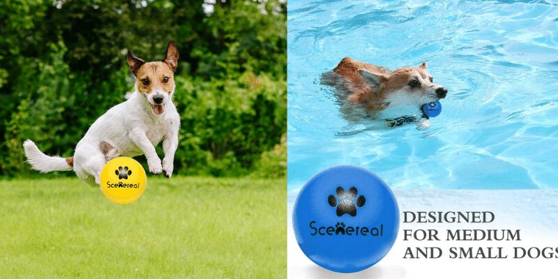 SCENEREAL Floatable Dog Rubber Ball