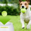 Petsafe Automatic Ball Launcher Dog Toys