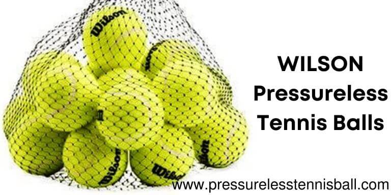 WILSON Pressureless Tennis Balls