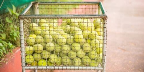 What Can You Do With Old Tennis Balls